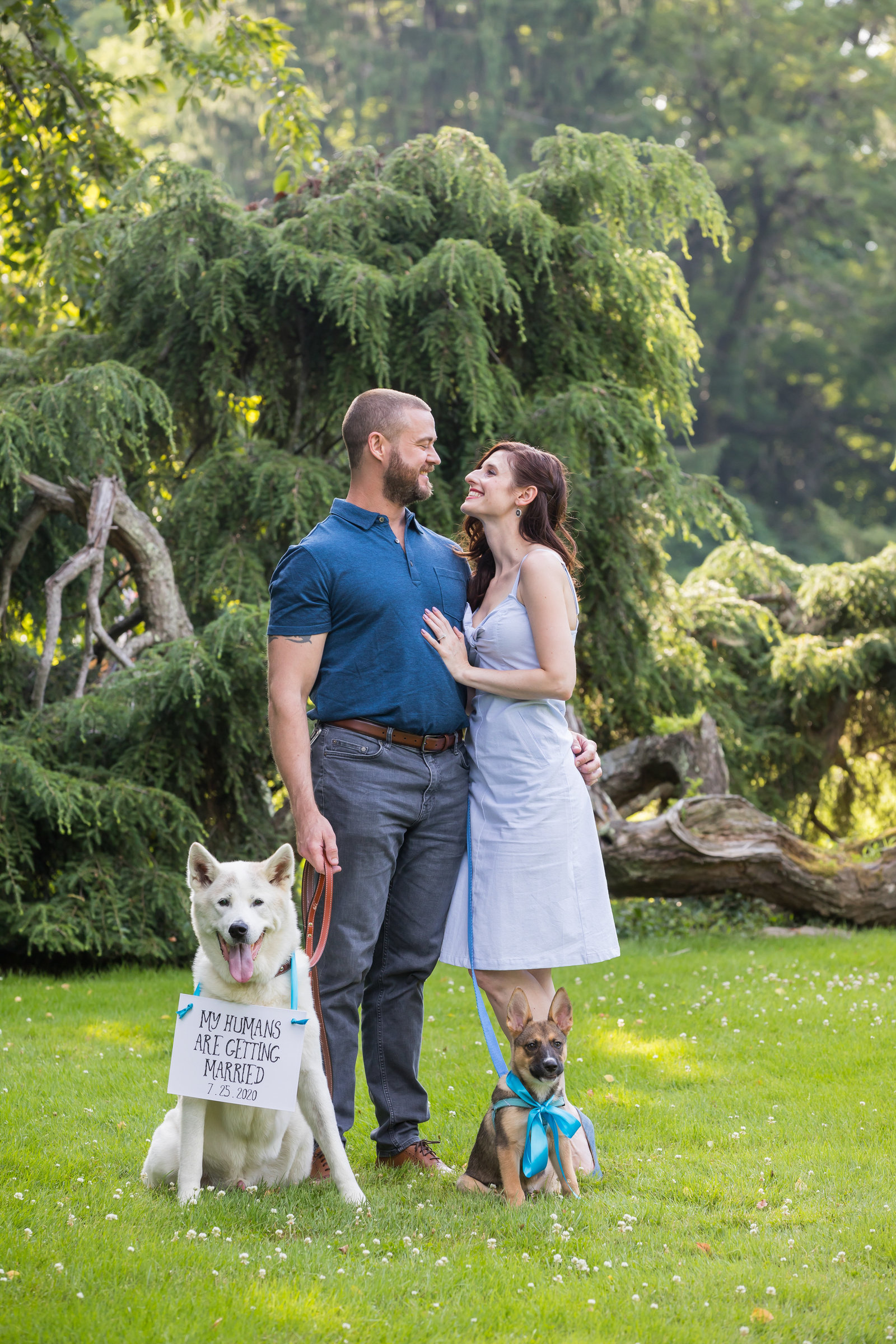 Proposal Photography