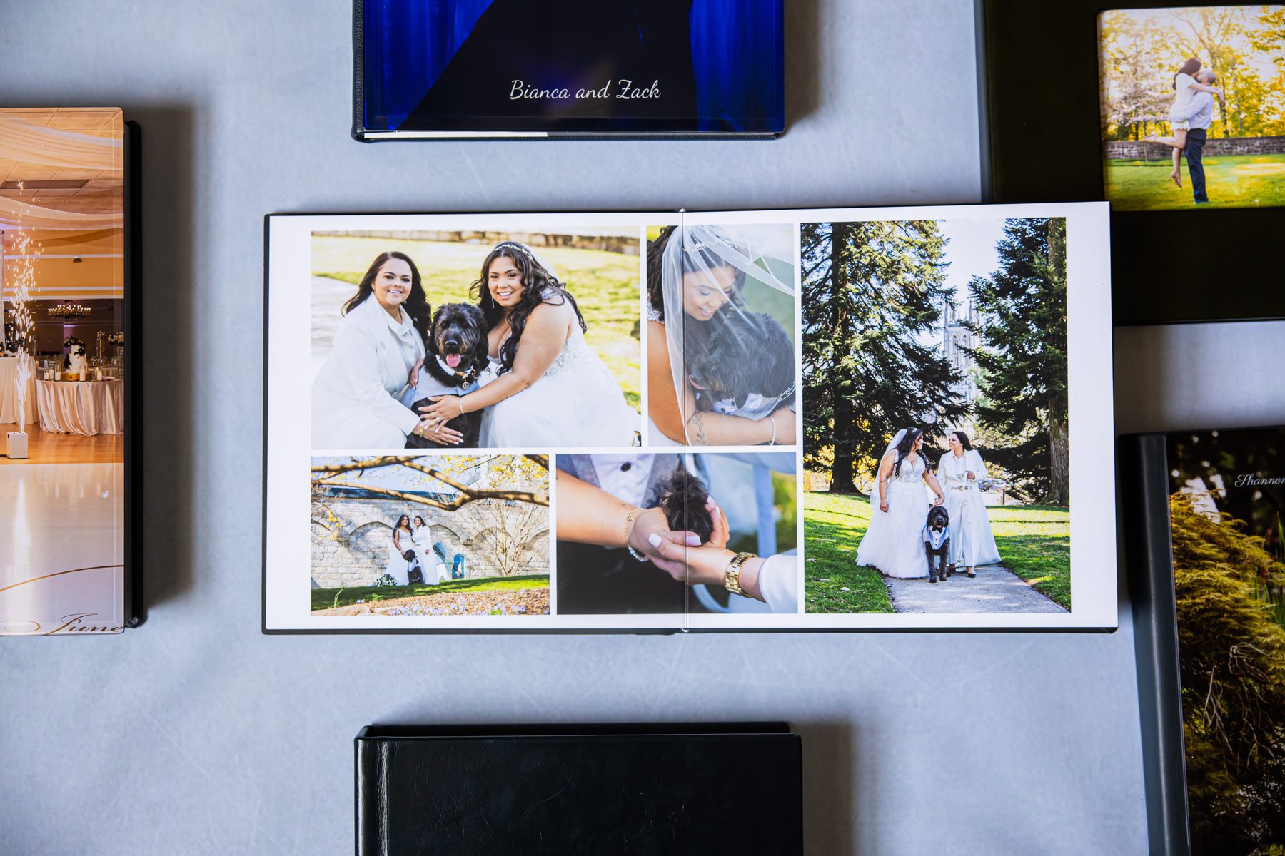 ProPhoto by MK wedding album open spread